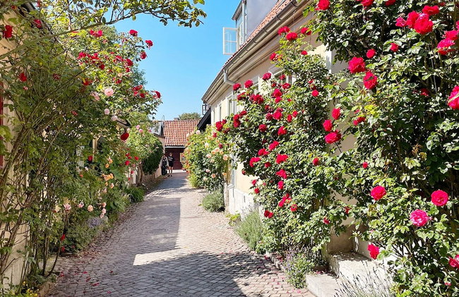 4 Star Holiday Home in Visby - Foto 19