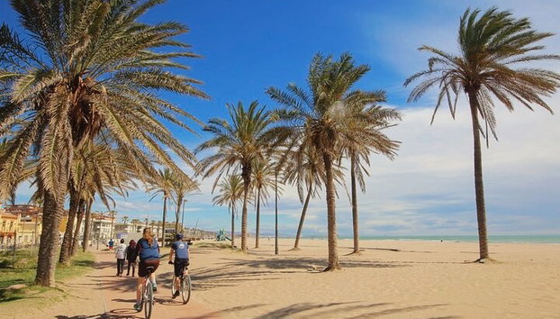 E-bike Tour : Plages, & Cité des Arts et des Sciences - Photo 2