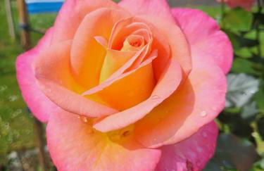 Haus am Walde - Foto 33