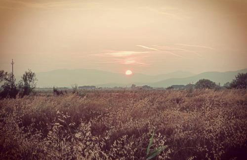 Agriturismo il Pollino - Foto 14