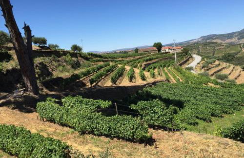 Quinta dos Espinheiros - Photo 51