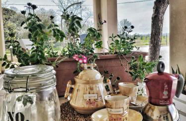 The Olive Grove in Tuscany - Foto 21