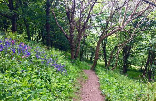 Chy Bownder Cottage - Photo 29