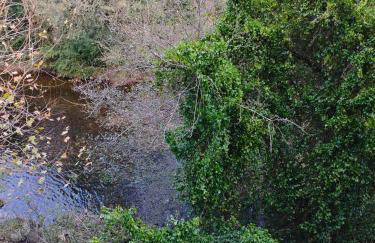 Solares Style vistas al Río Miera - Foto 8