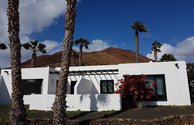 Palmeras Garden - Foto 24