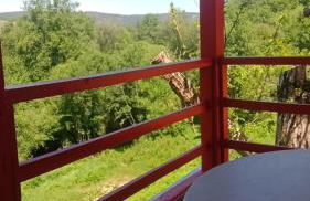 O Salgueiral - Foto 26