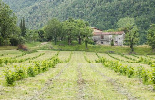 Podere Groppini - Foto 24