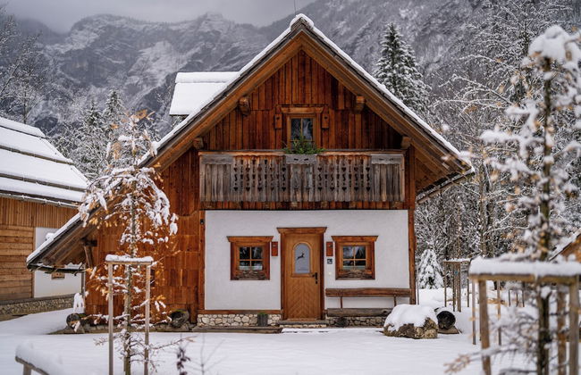ALPIK Chalets - Bohinj - Foto 41