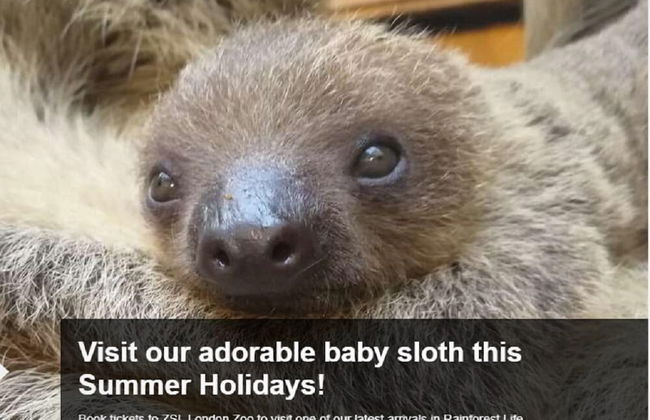 The Waterloo Residence - Foto 57