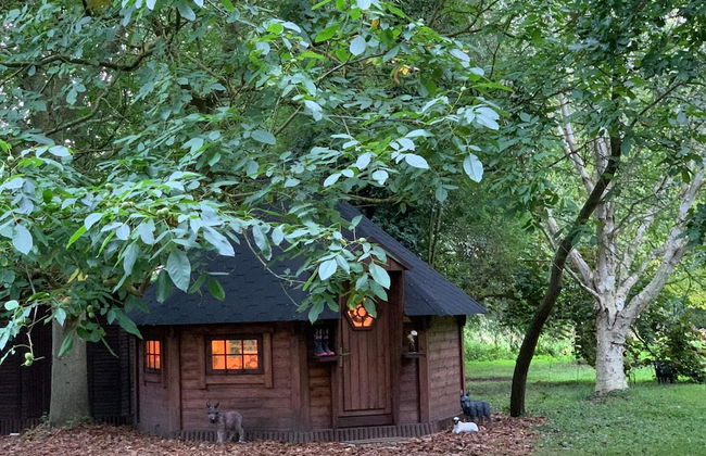 Starry Meadow - Foto 74