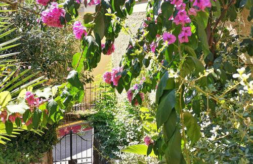 Secret Garden Apartment with private parking space - Photo 30