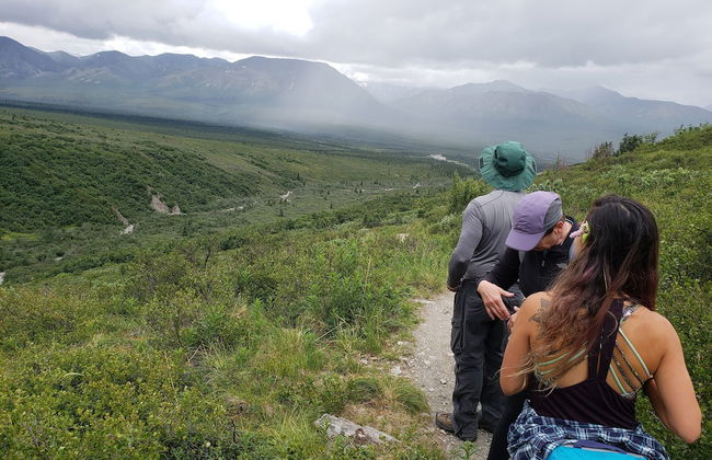 Denali Wild Stay - Foto 64