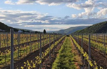 Birkennest - Foto 20