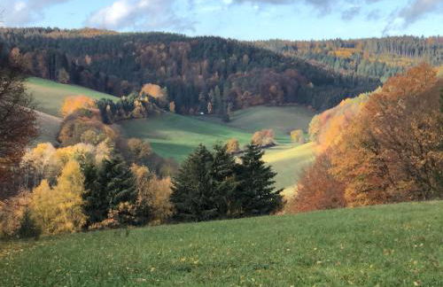 Burg Freienstein Blick 4 Sterne mit Sauna - Foto 4