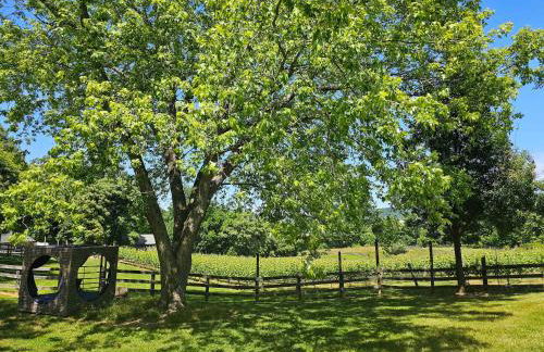 Vinewood Estate & Adventures - Foto 21