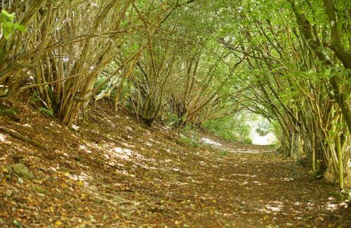 Unconformity Barn - Foto 20