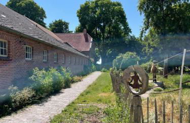 Deichgraf Emden - Foto 5