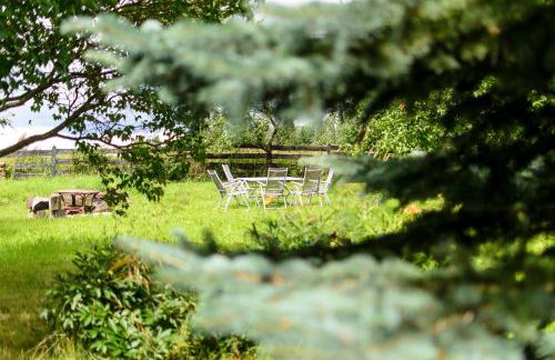 Zakątek Szczęścia Eko Agroturystyka - Foto 64