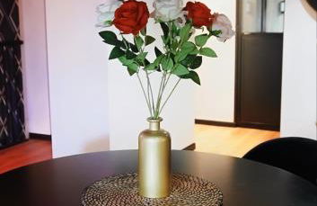 Loveroom Metz Spa Privatif - Foto 8