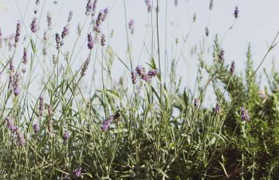 Al Borgo 02 Luxury Suites in Sardinia - Foto 15