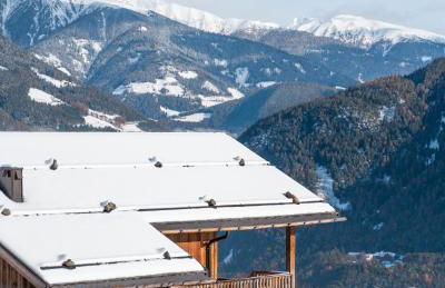 DILIA Chalets & Apartments - Foto 3