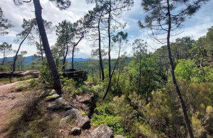 Le Pequelet - Foto 17