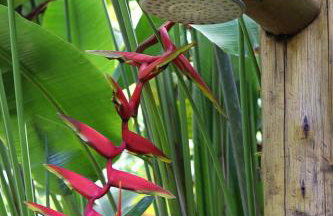 Bahia Soul - Casa Mutá - Barra Grande - Península de Maraú - Foto 54