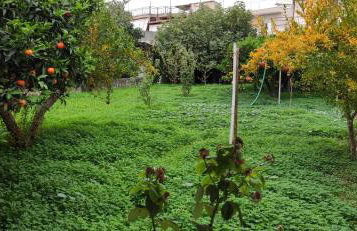 Garden house - Photo 49