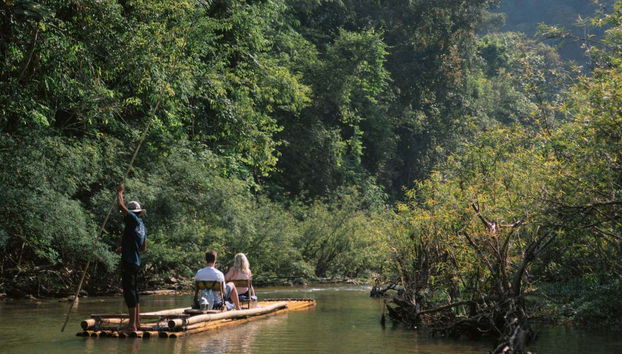 Sail among the mangroves