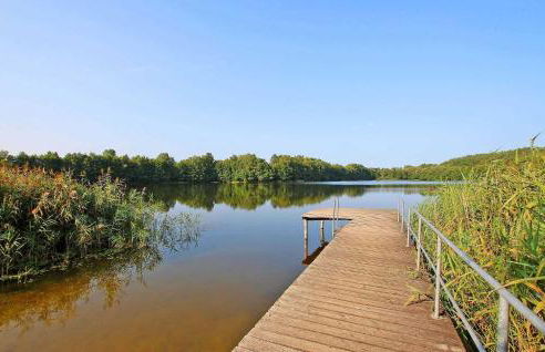 Ferienhaus Wokuhl-Dabelow - Foto 18