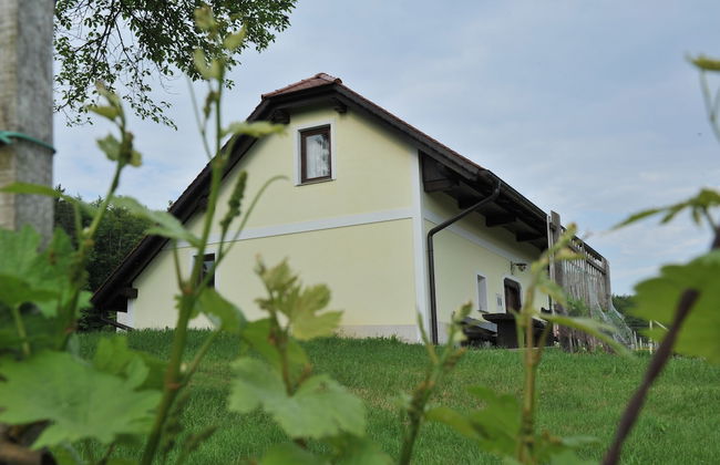 Vineyard Cottage Keglic - Foto 1