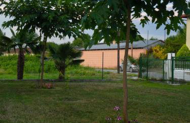 Xrysa's House - Foto 55