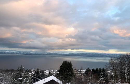 Les Vies en Rose - Foto 9