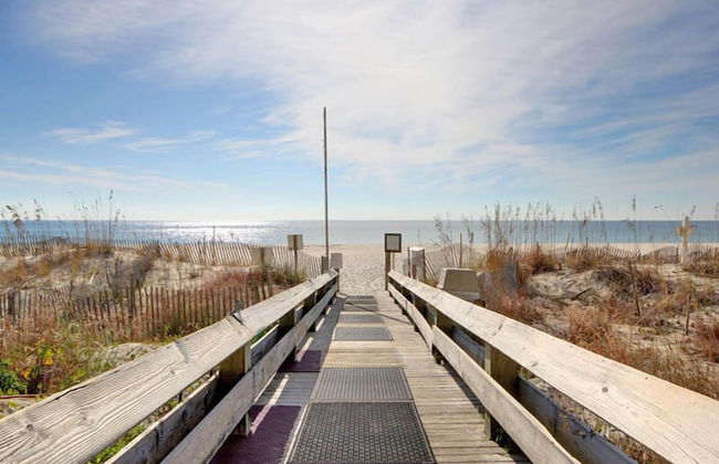 Phoenix X #1011 - Foto 27