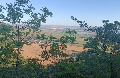 Ferienhaus Waldperle Harzblick - Foto 2