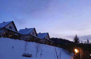 Bieszczadzki Bohater Domki 533-502-137 - Photo 8