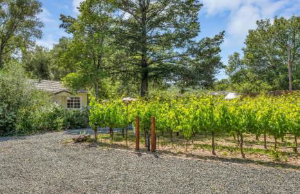 Grapevine Cottage by Avantstay Hobby Vineyard + Firepit - Foto 87