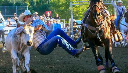 Folsom Old Town Escape • Cozy Cottage + Library - Foto 4, Other