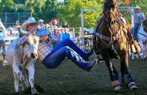 Folsom Old Town Escape • Cozy Cottage + Library - Foto 4