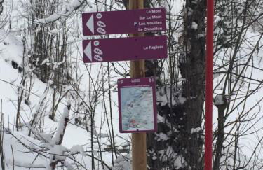 L’énergie Tranquillisante - Photo 17