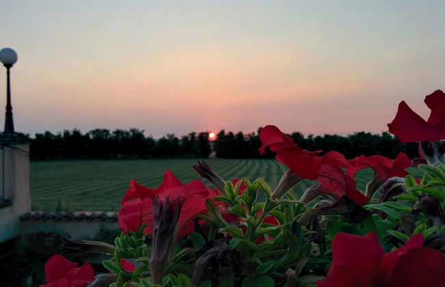 B&B & Residence Corte Bebbi - Foto 71