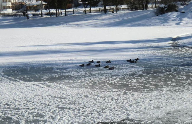 Apartment Neustift Near Stubai Glacier - Foto 31