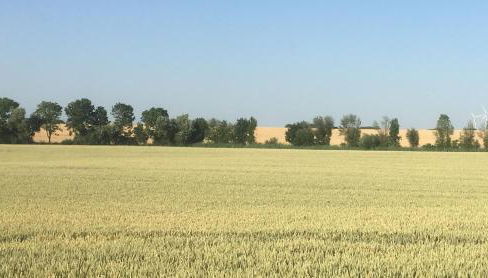 Ferienwohnung Walkershofen - Foto 4