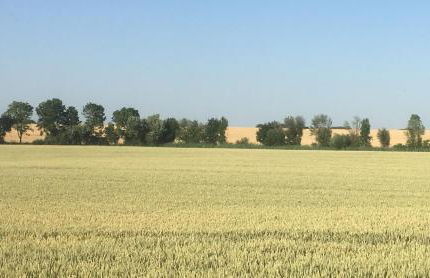 Ferienwohnung Walkershofen - Foto 4