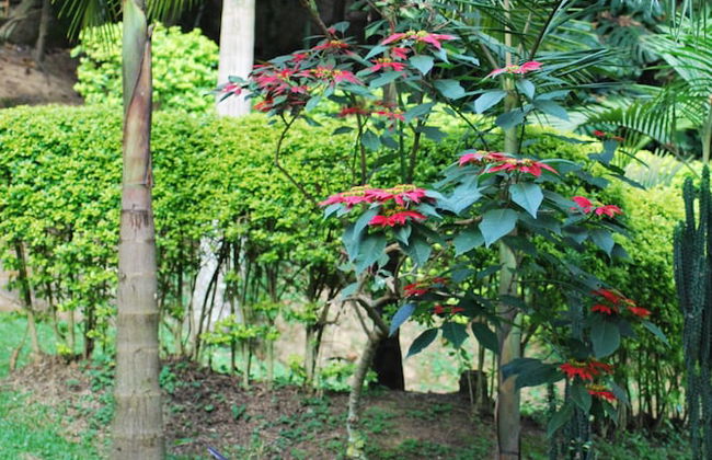 Crater Bay Cottages - Photo 63