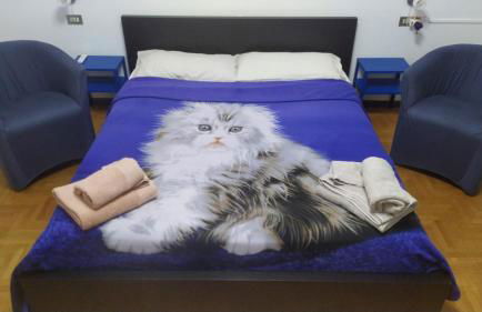 CASA CHIARA - 11 minuti da Milano - 6 minuti da policlinico San Donato Milanese - Foto 4