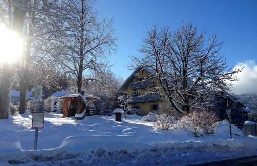 Maier Chalet - Foto 5