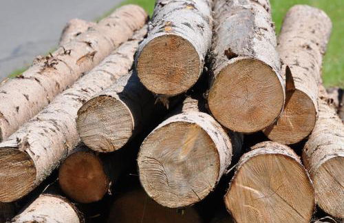 Ferienhaus Schwärzer - Foto 11