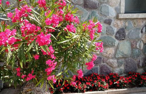 Home Iseo Lake - Photo 17