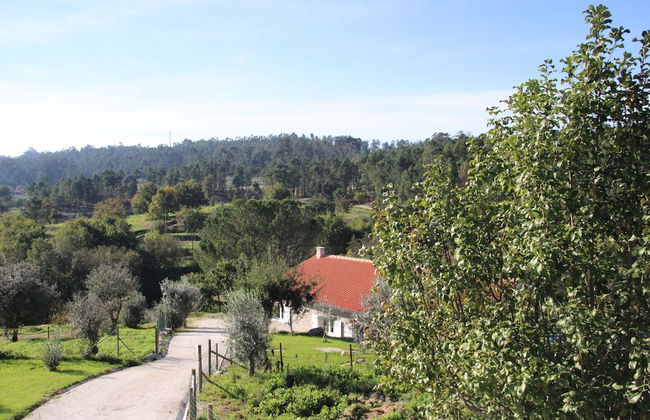 I Love Dão - Casas Da Fraga - Foto 49